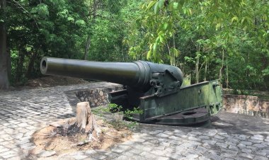 Di Tích Trận địa Pháo Cổ Sao Mai Và Hầm Thủy Lôi