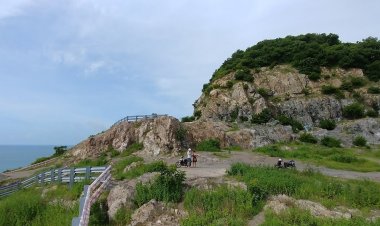 Đồi Con Heo Vũng Tàu