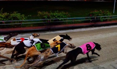 Trường Đua Lam Sơn