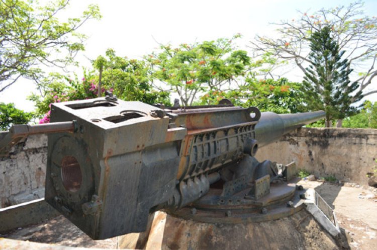 Đại Pháo Núi Tao Phùng